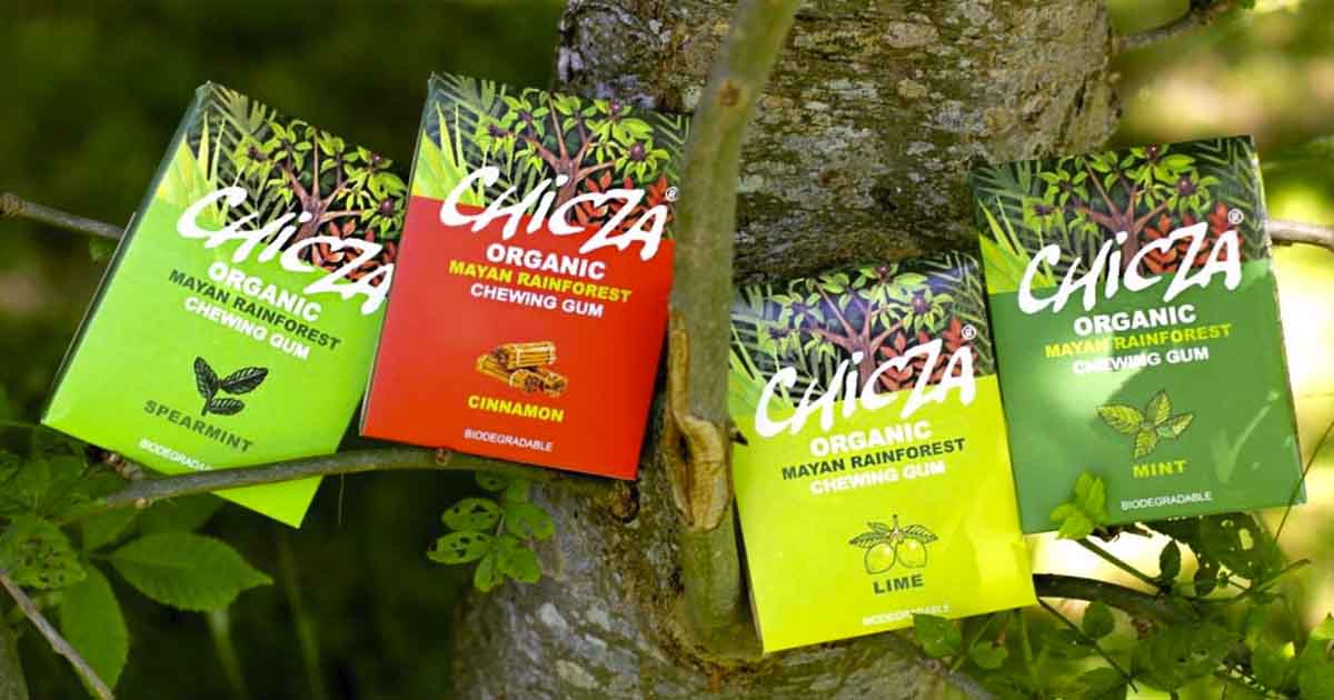 Chicza Cannelle - chewing gum biodégradable - Epicerie Au Local
