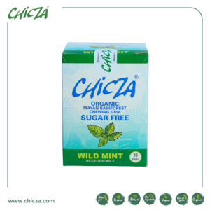 Ten Pack Sugar Free Menta 30g